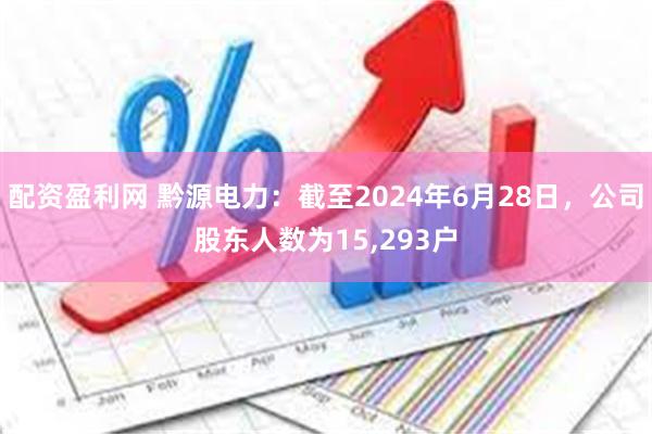 配资盈利网 黔源电力：截至2024年6月28日，公司股东人数为15,293户