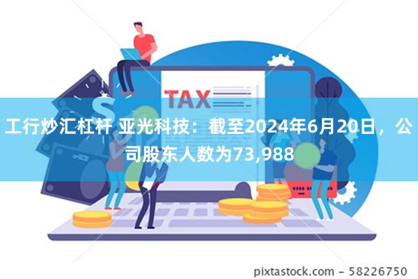 工行炒汇杠杆 亚光科技：截至2024年6月20日，公司股东人数为73,988