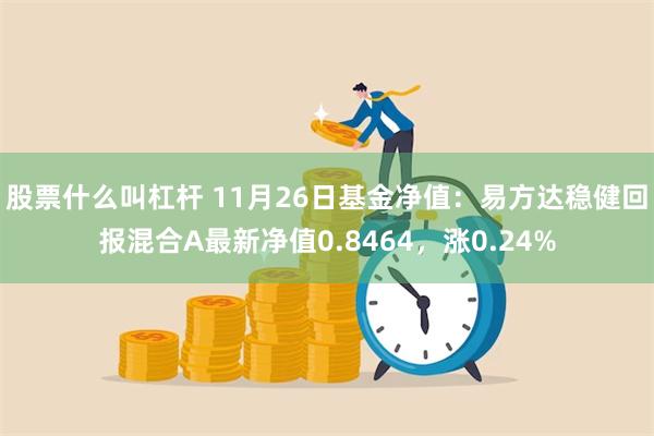 股票什么叫杠杆 11月26日基金净值：易方达稳健回报混合A最新净值0.8464，涨0.24%