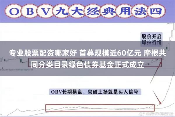 专业股票配资哪家好 首募规模近60亿元 摩根共同分类目录绿色债券基金正式成立