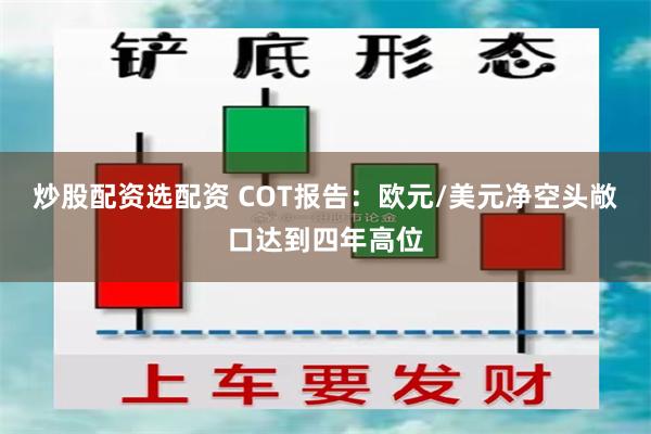 炒股配资选配资 COT报告：欧元/美元净空头敞口达到四年高位