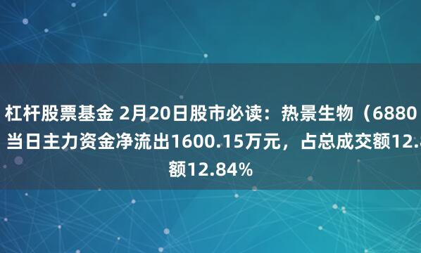 杠杆股票基金 2月20日股市必读：热景生物（688068）当日主力资金净流出1600.15万元，占总成交额12.84%